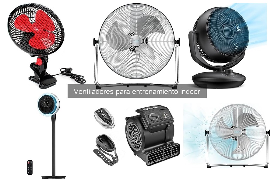Beneficios de los Ventiladores para Entrenamiento Indoor