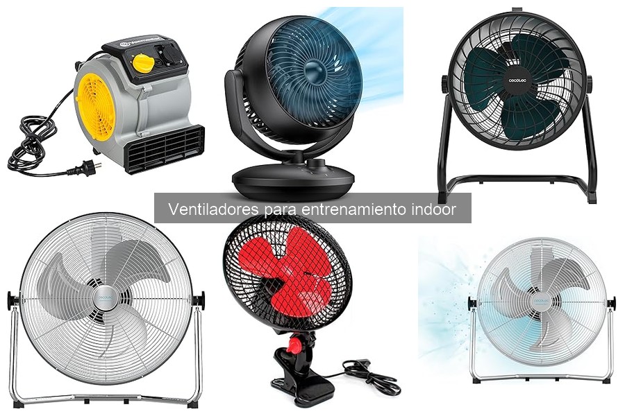 Mejores ventiladores silenciosos para entrenar indoor