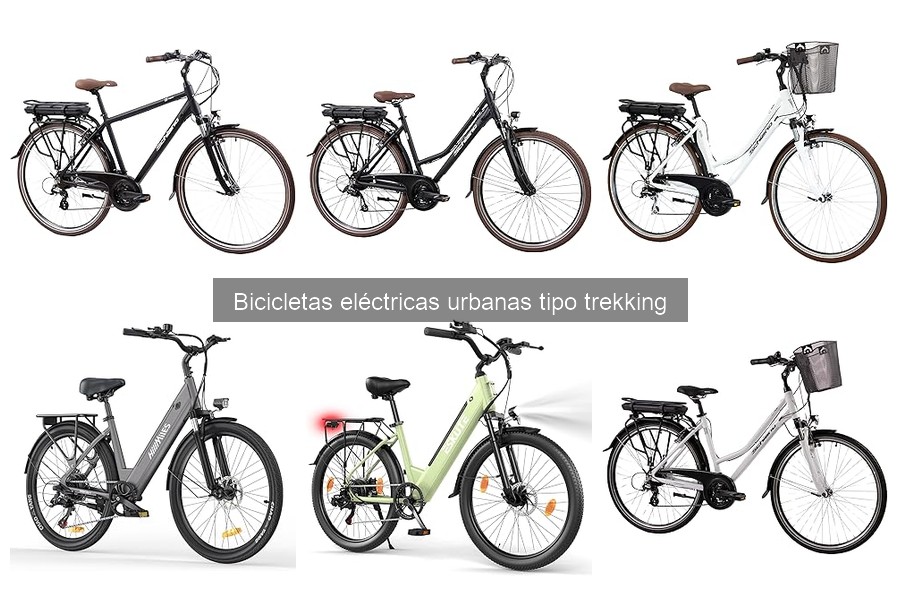 Opiniones sobre la bicicleta eléctrica F.lli Schiano E-Ride