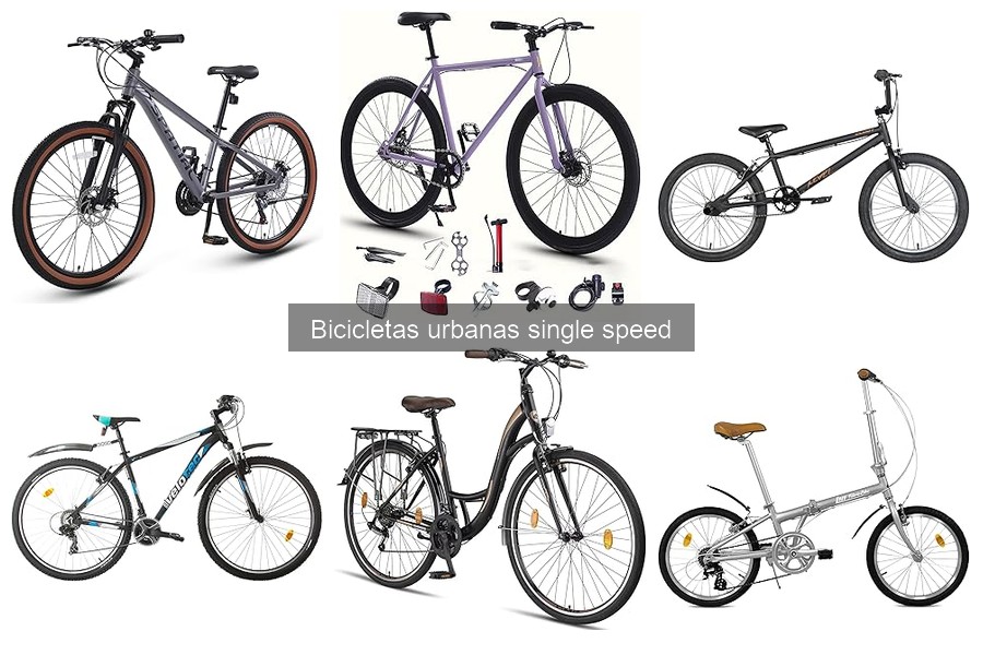 Problemas comunes en bicicletas urbanas single speed