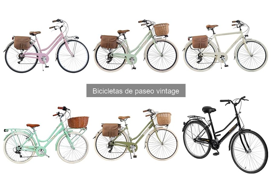 Tipos de Bicicletas de Paseo Vintage: Encuentra la Ideal